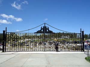 DSC02781 