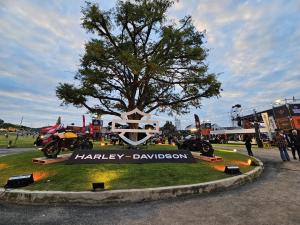 20251121 173143.resized